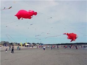 pink kite