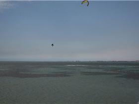 Sun 4th Feb - Woodies