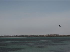 Simon? Jumping - Sun 4th Feb