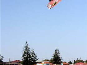 Safety Bay comp 10.01.09