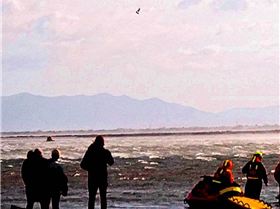 Screenshot20250401102351Facebook