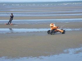 n1154478244 78155 1981