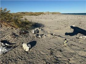 8d71c6b3e16de9181968dcf8c44ca871de184a72