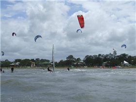 LF Clinic & Demo Day