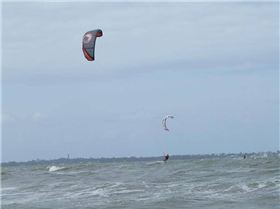 LF Clinic & Demo Day