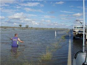 n1331479925 263418 7717