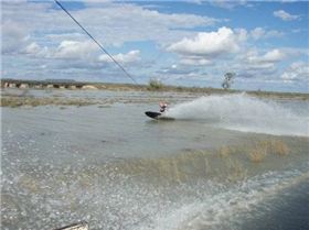 n1331479925 263421 8670