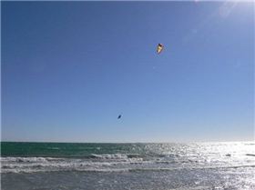 sweet day at  the haven