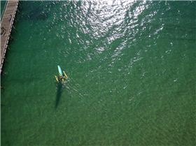 Adelaide International Kite Festival 2009