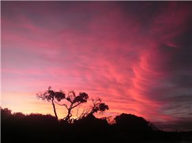 Australian Kite Surfari