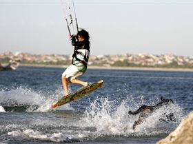 Ruby 50m zone control dog