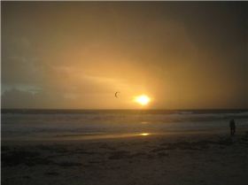 Winter goodness at sunset