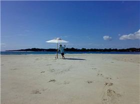 22042007151 (Medium)