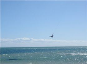 Muddy, back rolling shark spotter