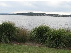 2010 Octane prototype