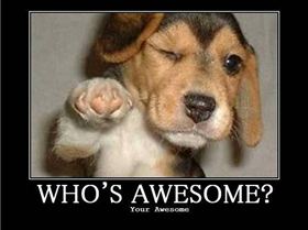 Your Awesome