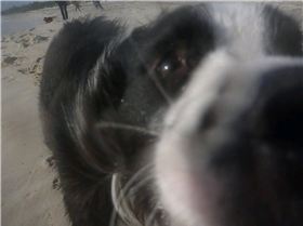 Leighton spring storms session