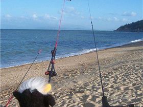 Relaunching Nomad 11m with soft toy