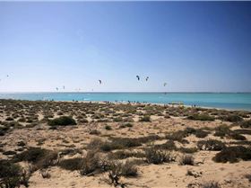 Exmouth Expo - 4th - 11th October 2009