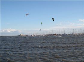 Windows Photo Gallery Wallpaper