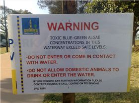 Sandgate Warning Sign