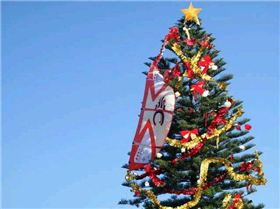 This seasons christmas tree decoration