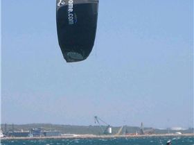 Black kites are cool