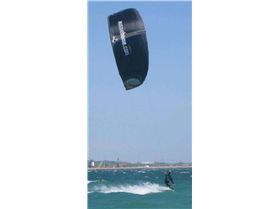 Black kites are cool