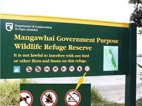 Kite ban at Mangawhai