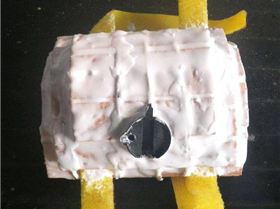 GoPro HD KiteCam Mount