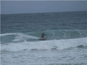 2010 0331out1look0133