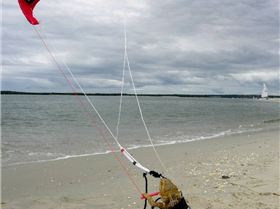 Dinkys telegraph photos