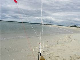 Dinkys telegraph photos