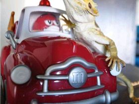 n669083898 2324425 6946179