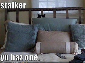 Ever feel like you're being watched?