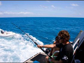 Get the Lures out lads