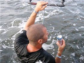 31294 632624453847 48608277 35448581 7084181 n