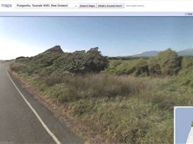 ye old box thorn hedge