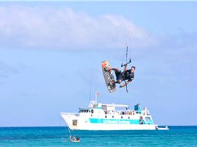 WindSwell Lizard pics