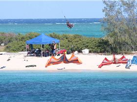 WindSwell Lizard pics