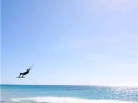 WindSwell Lizard pics