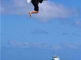 WindSwell Lizard pics