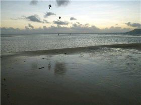 38132 445298063652 737683652 5904020 7847344 n