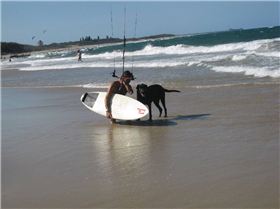 Various - Jan-June 2010 167