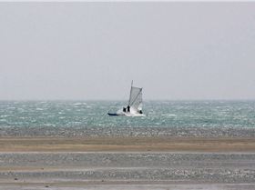 Windy weekend in Hula