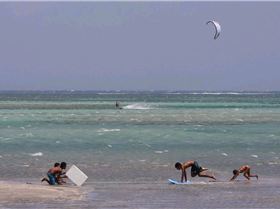 Windy weekend in Hula