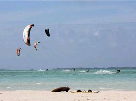 41103 418238421687 716321687 5265209 187903 n