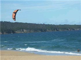 Slingshot Rally 2011