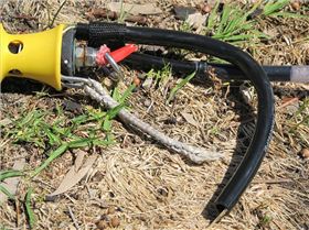 Busted Core chicken loop