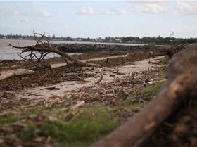Debris on the beach at Brighton QLD